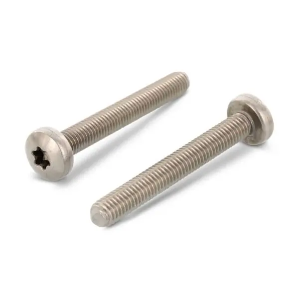 Maskinskruv Begränsat antal